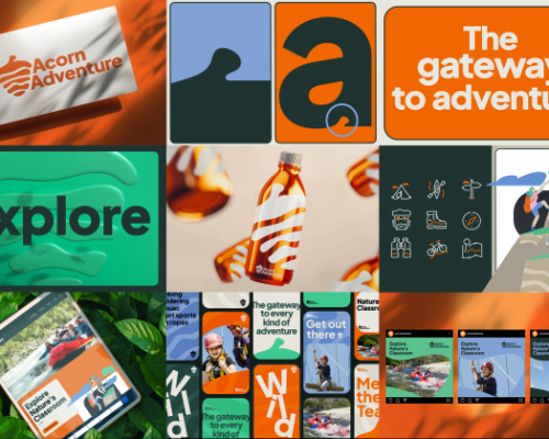 Acorn20website20case20study-20-7aaa5161-2